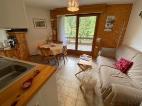 Appartement calme à 900m du centre de Châtel avec terrasse et parking - FR-1-693-112